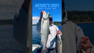 🍣 Chinook Salmon fishing  the Puget Sound 🍏 Washington tacoma jigging Pt Wilson Dart [upl. by Pontius495]