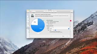 macOS High Sierra Disk Utility A Video Walkthrough [upl. by Oicanata]