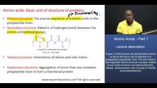 MCAT® Amino Acids Part 1 – Levels of protein structure [upl. by Swaine]