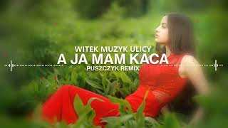 Witek Muzyk Ulicy  A Ja Mam Kaca Puszczyk Remix [upl. by Calisa782]