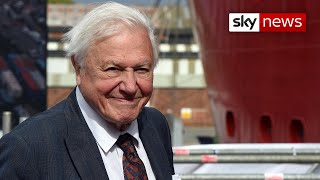 David Attenborough calls for ban on destructive deep sea mining [upl. by Roderigo]