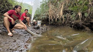 Top Video Fishing Wild Fishing Cleverly Use A Large Capacity Pump Catch Many Fish In The Lake [upl. by Delfeena]