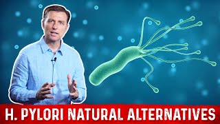 6 Natural Remedies of Helicobacter Pylori – Dr Berg on H Pylori [upl. by Mayyahk]