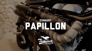 PAPILLON  EXHAUST FOR TRIUMPH [upl. by Notgnimer]