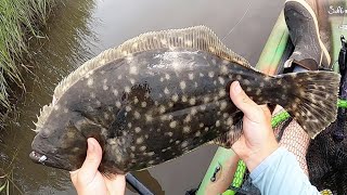 Best Place To Find Inshore Flounder In Spring Summer amp Fall [upl. by Prosper]