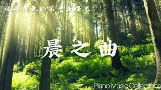 10 featured relaxing piano music with nature wind bird sounds 精選十首舒壓空靈的鋼琴曲，混合了自然的聲音等，適合放空、冥想（附曲目）。 [upl. by Eigriv]