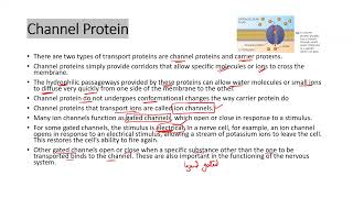 Facilitated Diffusion apbiology ibbiology asbiology [upl. by Llenrahc]