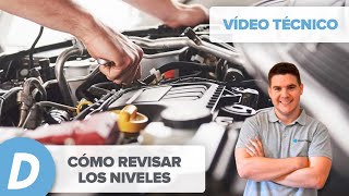 Cómo revisar los niveles del coche  aceite refrigerante frenos  Diariomotor [upl. by Acinoj]