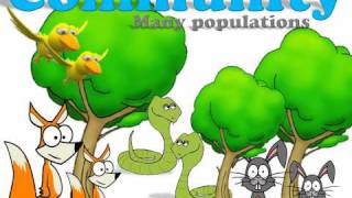 Ecology Introduction [upl. by Hortense993]