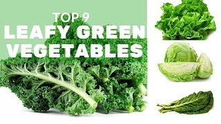 Top 9 Leafy Green Vegetables and Why You Should Eat Them [upl. by Anaujal517]