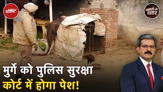 Punjab के Bathinda में एक मुर्गे को Police ने दी सुरक्षा जानें पूरा मामला  Khabron Ki Khabar [upl. by Ntisuj222]