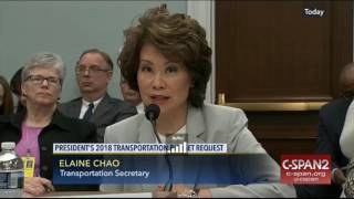 Elaine Chao discusses selling US assets [upl. by Odey265]