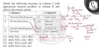 Match the following enzymes in column I with appropriate reaction products in column II and choo [upl. by Weaver]