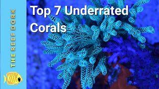 Top 7 Easy ish Underrated Corals [upl. by Deacon637]