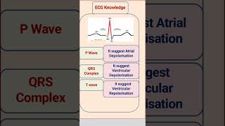 ECG PQRST wave [upl. by Sesmar831]