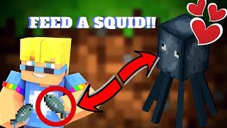 FEED A SQUID Minecraft Tutorial [upl. by Ysirhc896]