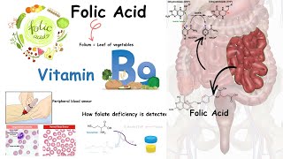 Folate  Vitamin B9 and folate deficiency [upl. by Araj]