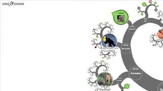 Zooming Into Humans – OneZoom Tree of Life Explorer [upl. by Middlesworth]