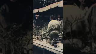 Flower Market in Japan in 1900  Restored Footage [upl. by Elliot]