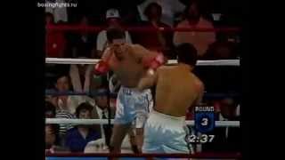 Julio Cesar Chavez vs Kenny Vice  Best of Julio Cesar Chavez [upl. by Waldron]