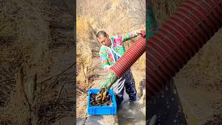 Unique Fishing Trap 🎣 Fish Catching 🐟 [upl. by Soelch]