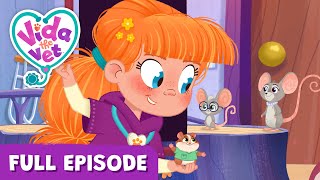 Popcorn’s XRay Bad Day VidaTheVet Full Episode 💖 Animal Cartoons for Kids learning Animals [upl. by Andonis]