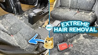 Deep Cleaning The HAIRIEST Car Weve EVER Seen  EXTREME Dog Hair Removal  Satisfying Car Detailing [upl. by Maddeu]