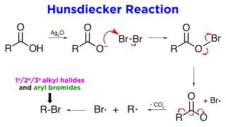 Hunsdiecker Reaction [upl. by Adamsen]