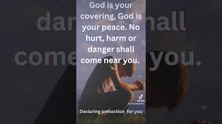 Declaration of Protection bible faith protection psalms [upl. by Tanner]