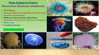 Characteristics and classification of phylum Coelenterata 🪼II Dr Seema [upl. by Voccola542]