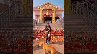 Ratangarh wali mata 😍🙏 song viralvideo music trending song [upl. by Valli]