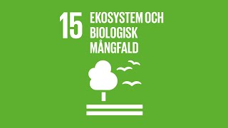 Globala målen nummer 15  Ekosystem och biologisk mångfald [upl. by Elbertina]