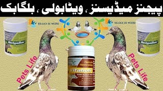 Pigeons Medicines Vitaboli Belgabac Products of Belgica De Weerd [upl. by Arym]