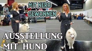 HUNDEAUSSTELLUNG  Hund richtig ausstellen  Vorbereitung auf Aufstellung  Tipps [upl. by Bora]