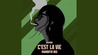 Cest la vie Cinematic Mix [upl. by Duax]