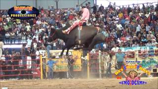 sones de jaripeo mix [upl. by Yrellav]