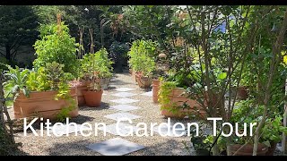 Potager Kitchen Garden Tour June 2022One Month Growth fruits Vegetables and Ornamentals [upl. by Delia]