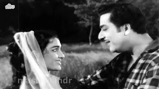 do nain mile do phool khileAsha ParekhBeenaRaiamp PKMahendra KapoorAshaShakeelRavi Ghunghat1960 [upl. by Edwine]