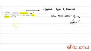 Assertion  A protein is a heteropolymer Reason  Dietary proteins are the source of nonessent [upl. by Griseldis139]