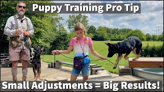 Get More Out Of Your Puppy Training Sessions  Make Small Adjustments For Big Gains [upl. by Schiro]