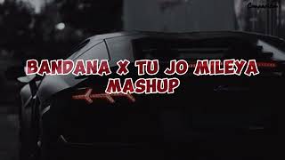 Tu jo Mileya X Bandana Song  Mashup song  Bass Boosted  Punjabi Song Mashup [upl. by Lai370]