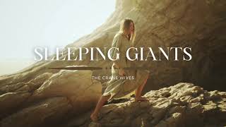 The Crane Wives  Sleeping Giants Lyrics [upl. by Burney]