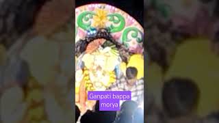 Ganpati bappa Moruya famikyfirst plzsuppot diwali laxmiganesh youtubeshorts ganesh [upl. by Ahtanoj]