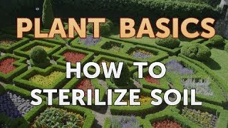 How to Sterilize Soil [upl. by Sinoda]