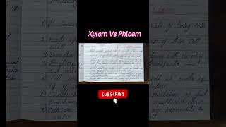 Notes Xylem Vs Phloem music hiphop [upl. by Eicnan]