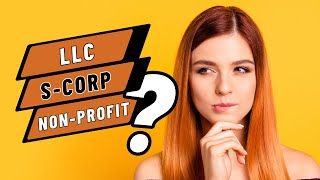 LLC SCorp NonProfit [upl. by Adnuahs]