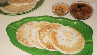 തട്ടുദോശ  നാടൻ ദോശ  സാദാ ദോശ  Perfect Dosa Batter Recipe  Dosa Recipe  Set Dosa Pachakalokam [upl. by Weston473]