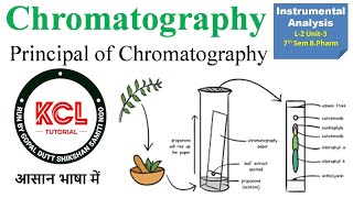 Principal of Chromatography Adsorption Partition Ion Exchange Size Exclusion  L2 Unit3 7th sem [upl. by Neehs595]