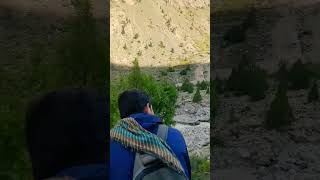 Gilgit mountain mountains nature fullchikenrost explore nature stone rakaposhibasecamp [upl. by Eslehc]