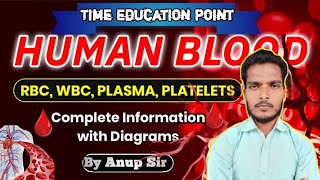 Human Blood  रक्त परिसंचरण तंत्र   RBC  WBC  Platelets  Plassma  Function of Blood [upl. by Croteau623]